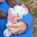 A teenage girl holds an adorable white bunny.