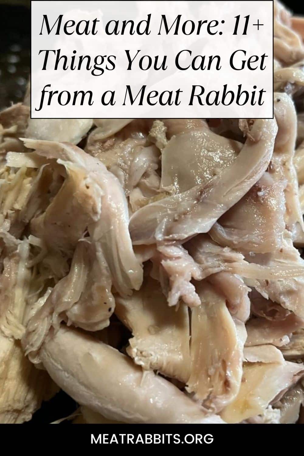 Meat and More: 11+ Things You Can Get from a Meat Rabbit pinterest image.