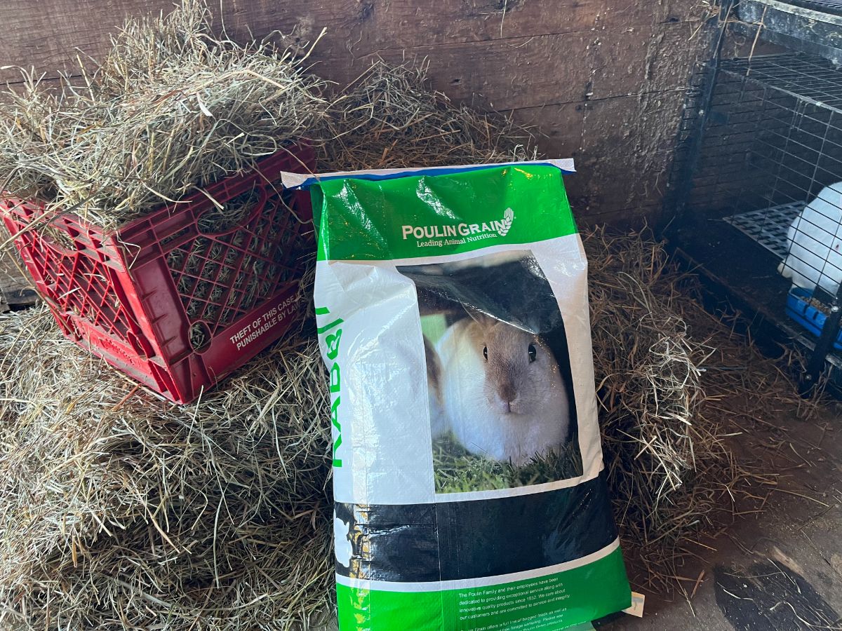 A bag of meat rabbit pellets leaning on a bale of hay