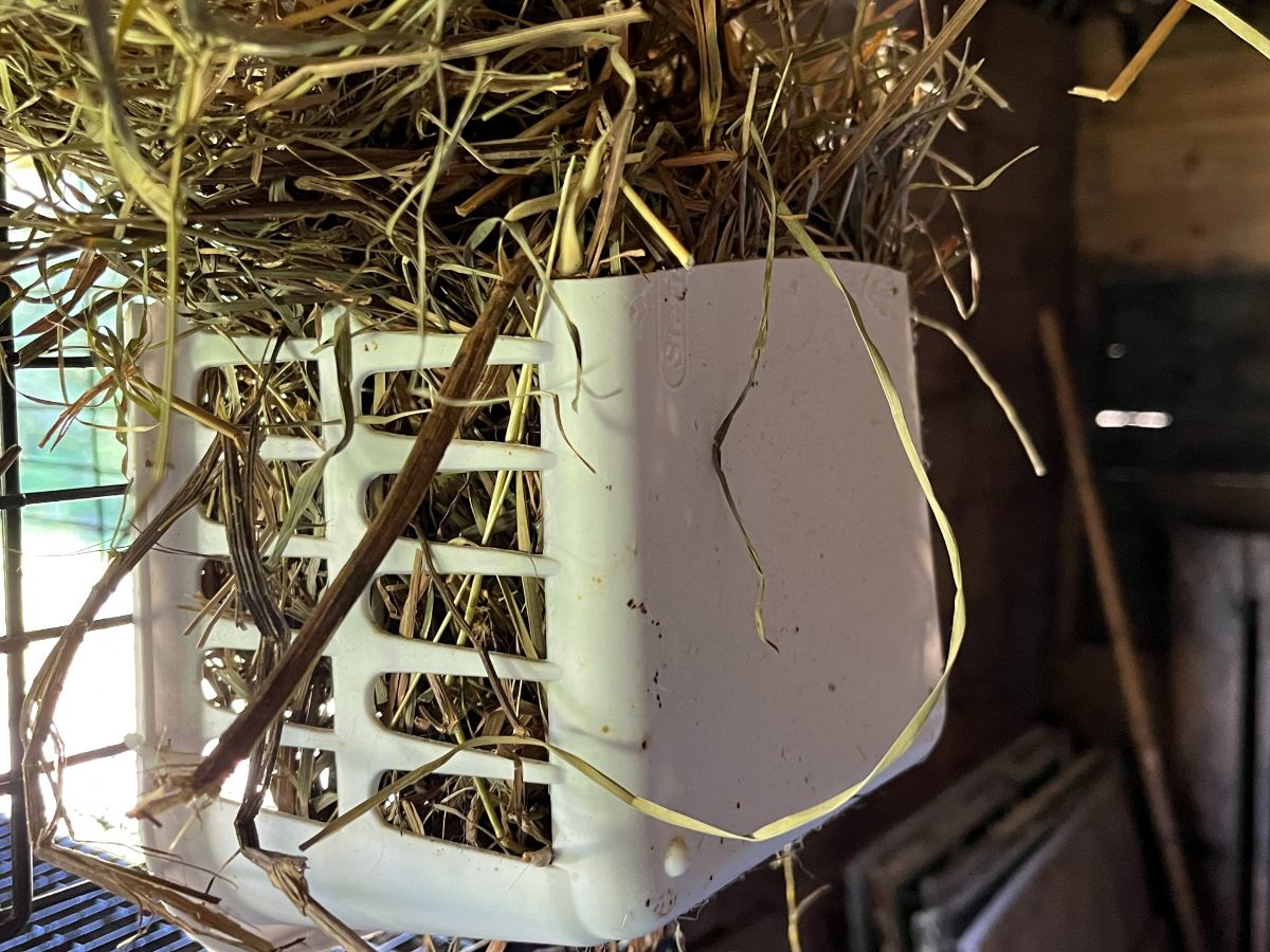 A homemade hay rack for rabbits