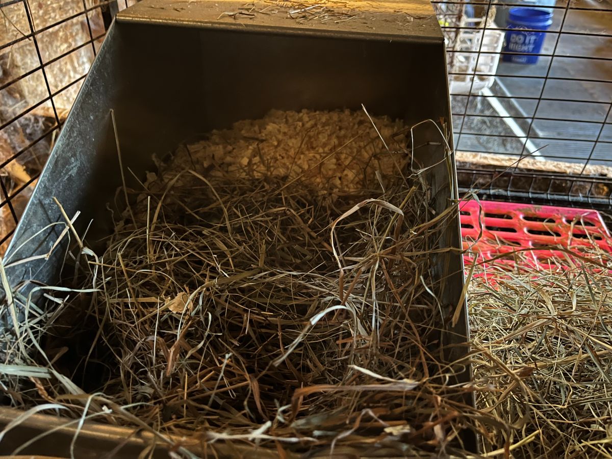 A nest box for a mother doe rabbit to prepare