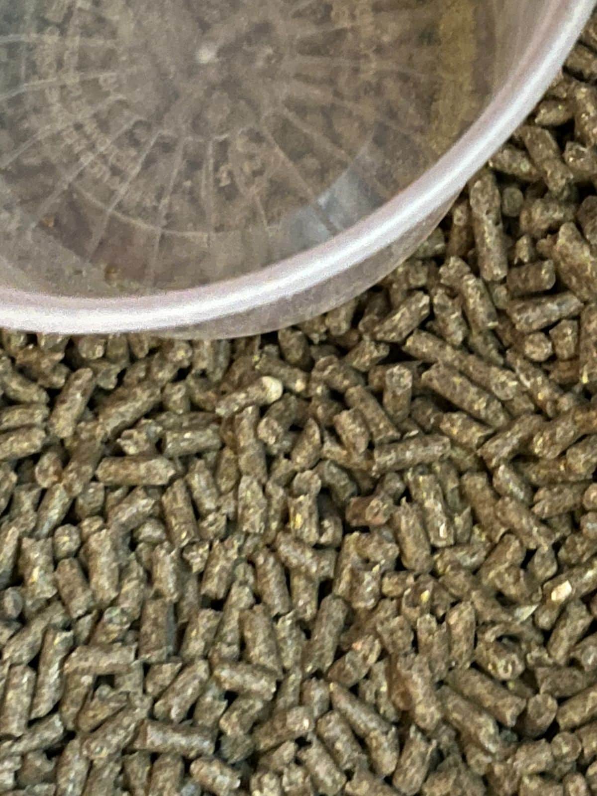 Quality rabbit pellets by Poulin Grain