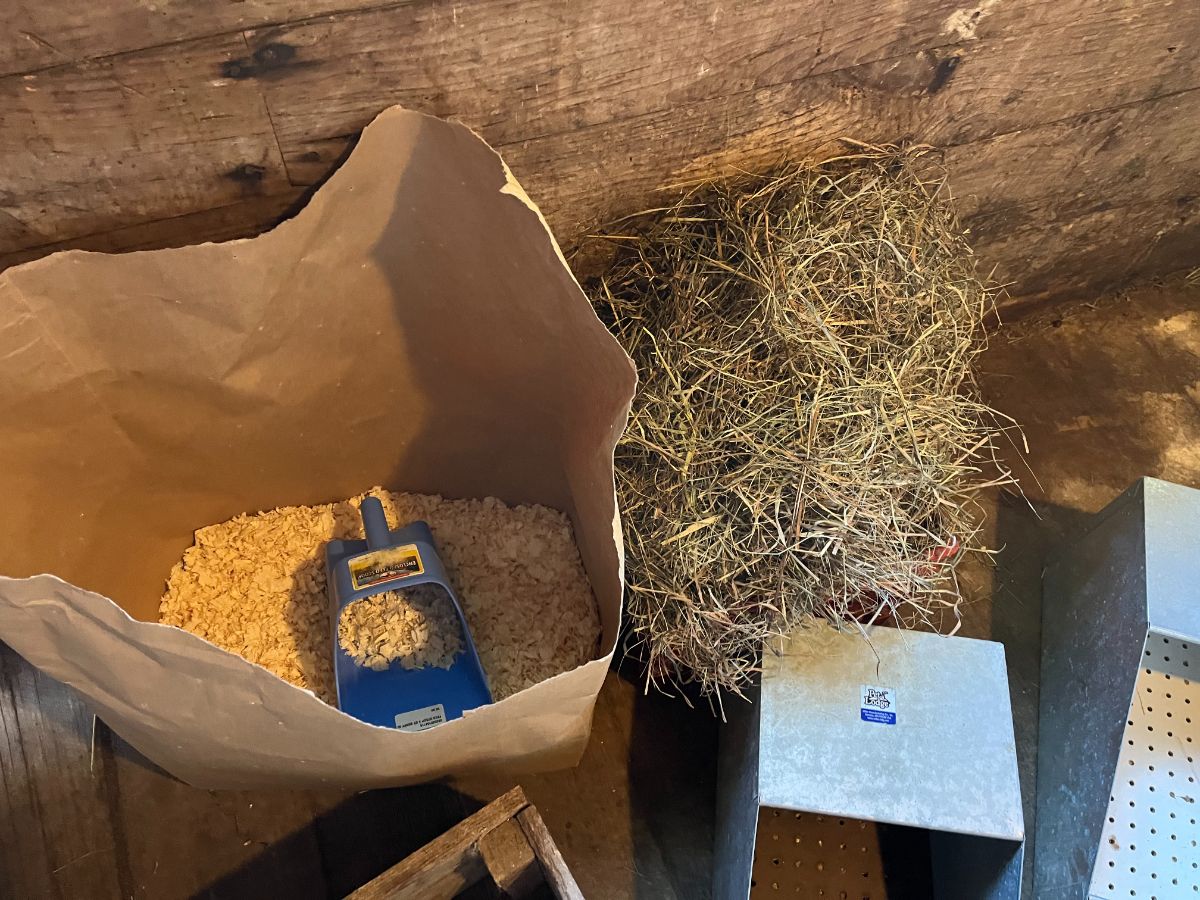 Nest boxes being prepared with shavings