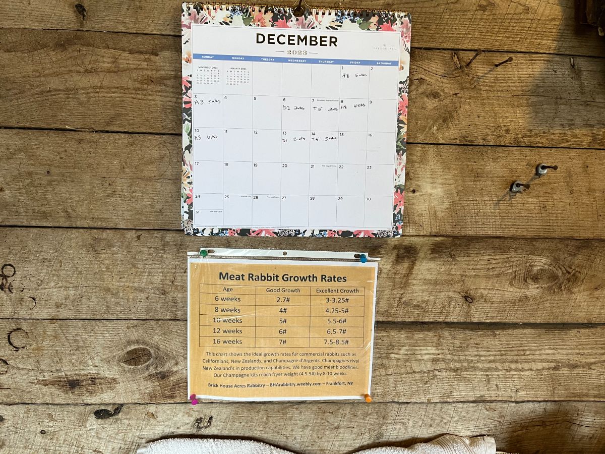 Wall calendar in a rabbit room for fast and easy record keeping