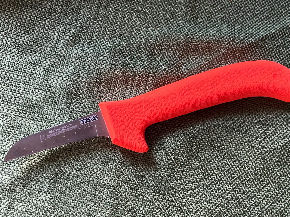 Dexter clip point knife for butchering meat rabbits
