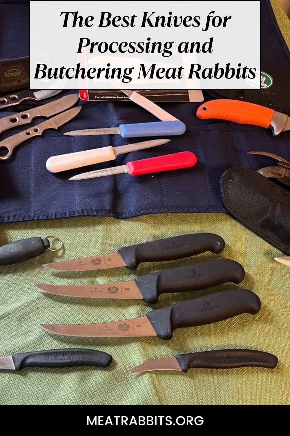 The Best Knives for Processing and Butchering Meat Rabbits pinterest image.