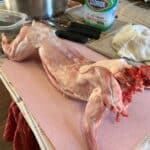 A harvested meat rabbit on a table.