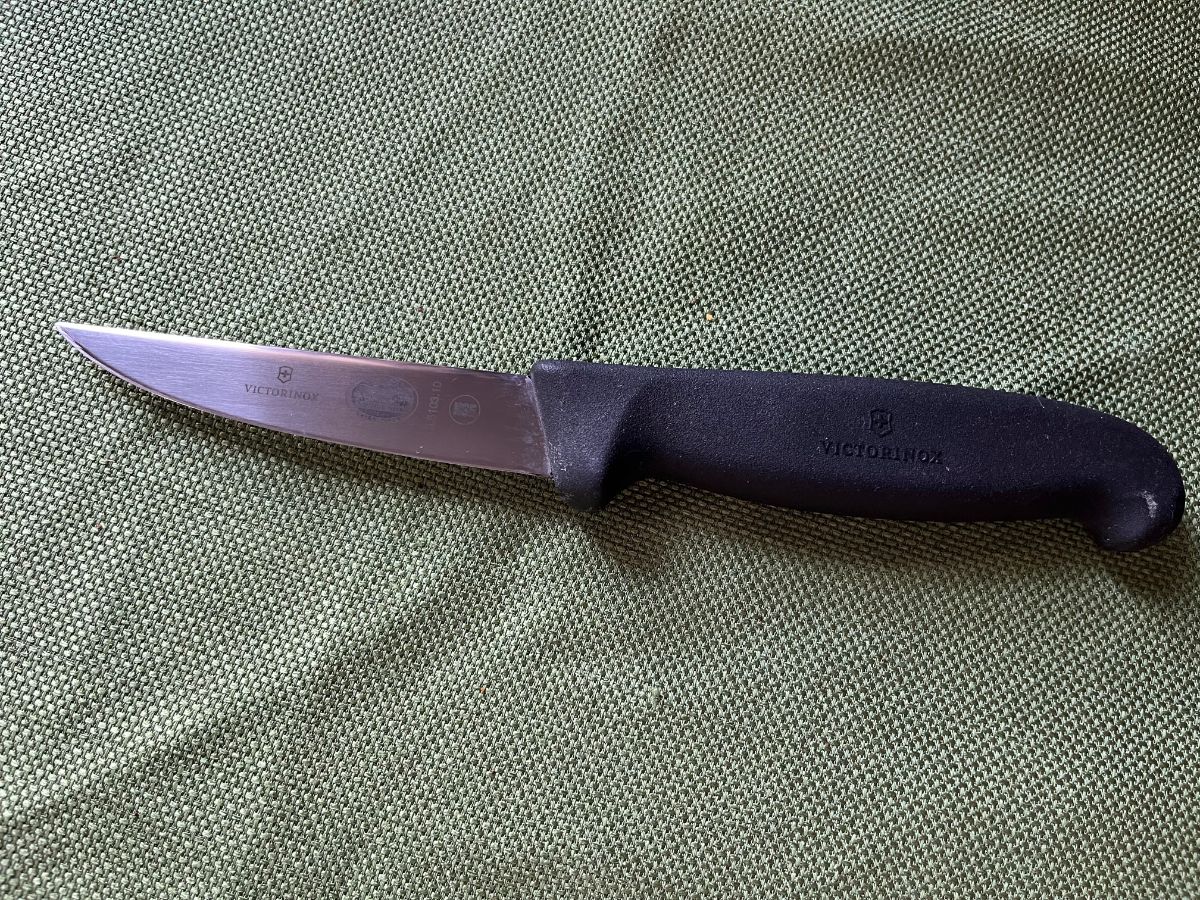 Victorinox four inch rabbit knife