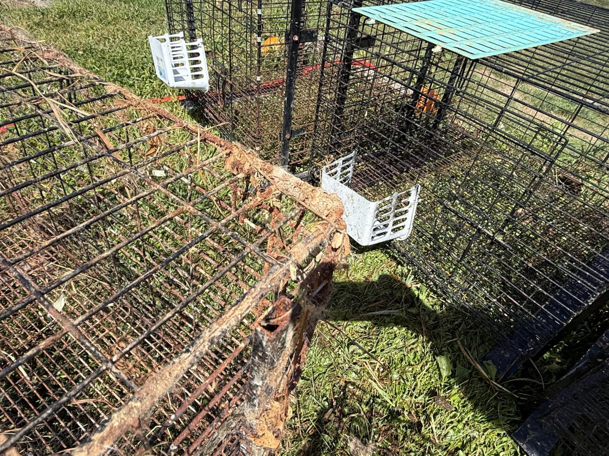 Build up on a rabbit cage
