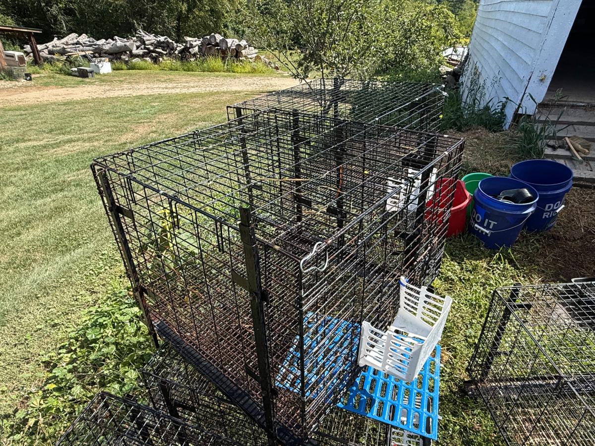 Repairing minor cage issues prior to a move