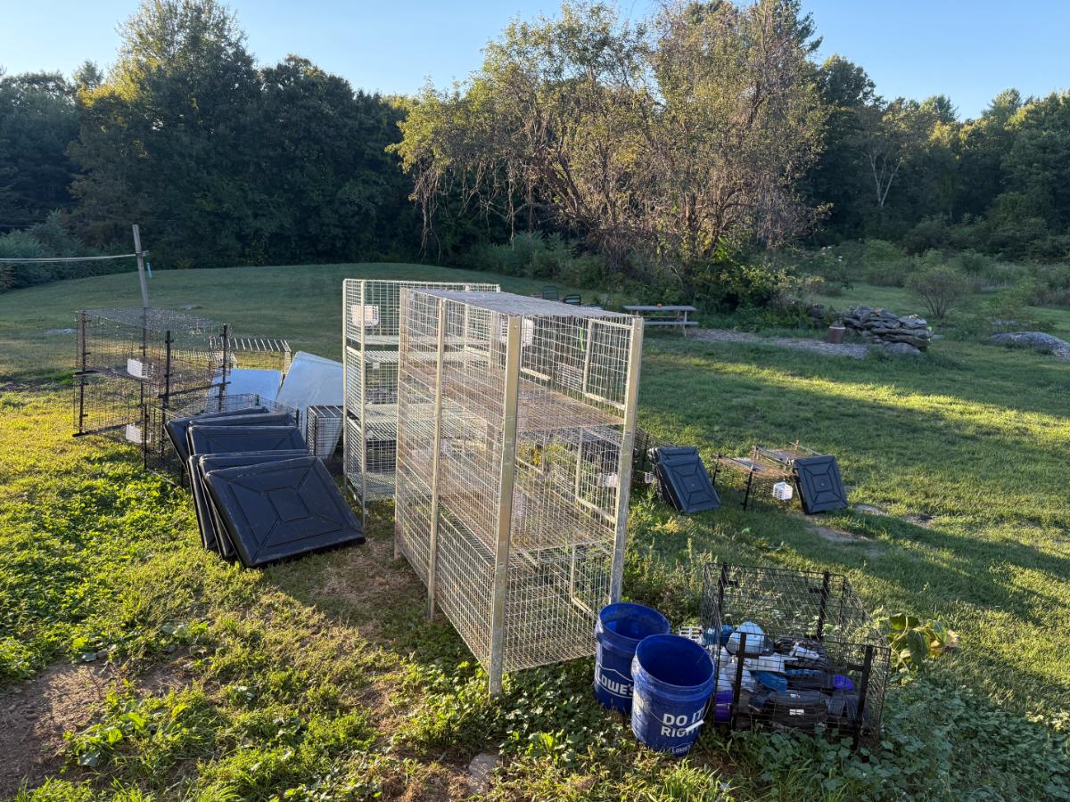 Sanitized cages prior to a move