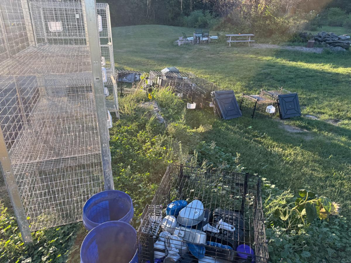 Cleaned caged cups and accessories packed in a cage ready to move