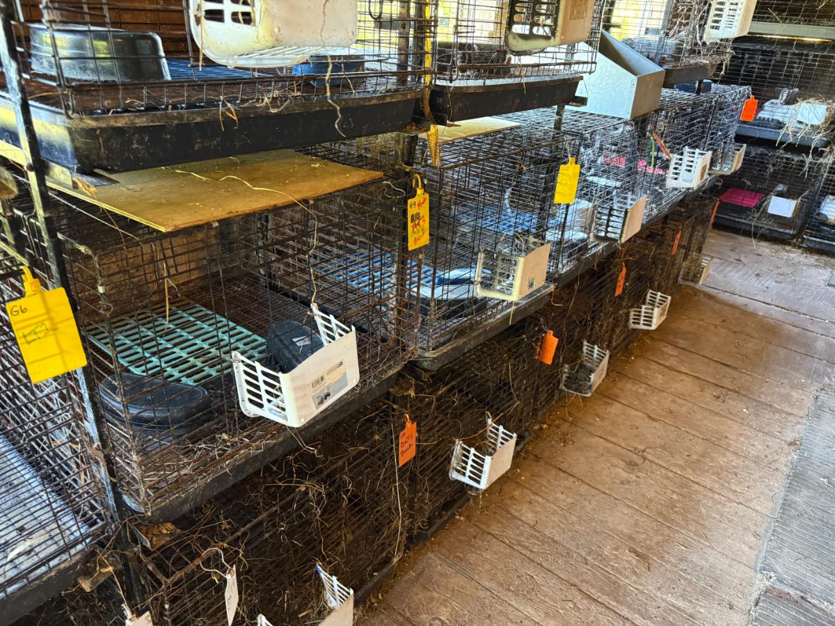 Rabbit cages ready for spring cleaning