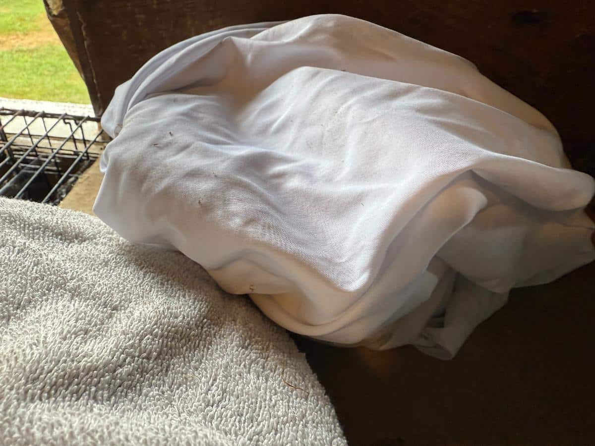 Towels for use with meat rabbits