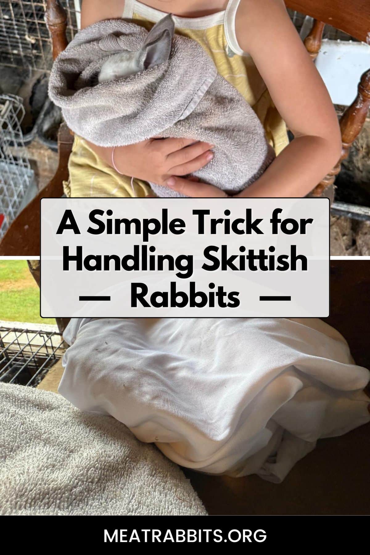A Simple Trick for Handling Skittish Rabbits pinterest image