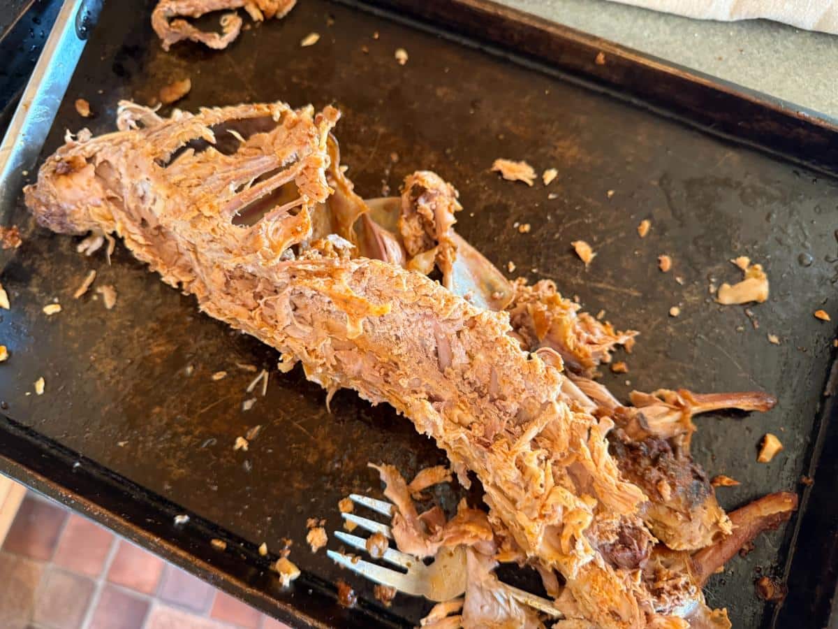Pulling rabbit meat off a smoked carcass