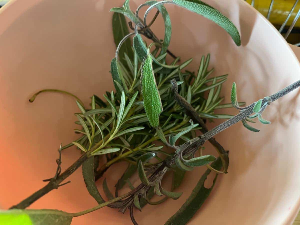 Fresh herbs for making rabbit meat brine
