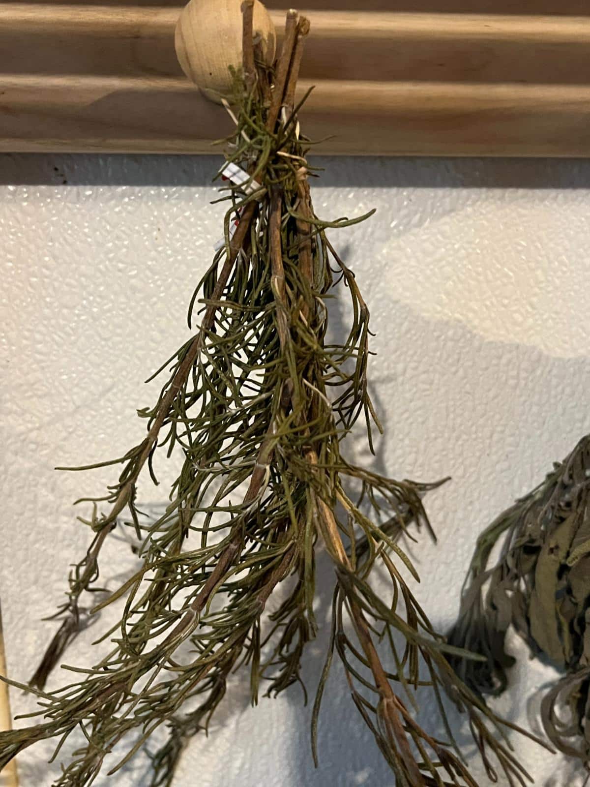 Dried sprigs of rosemary for meat rabbits