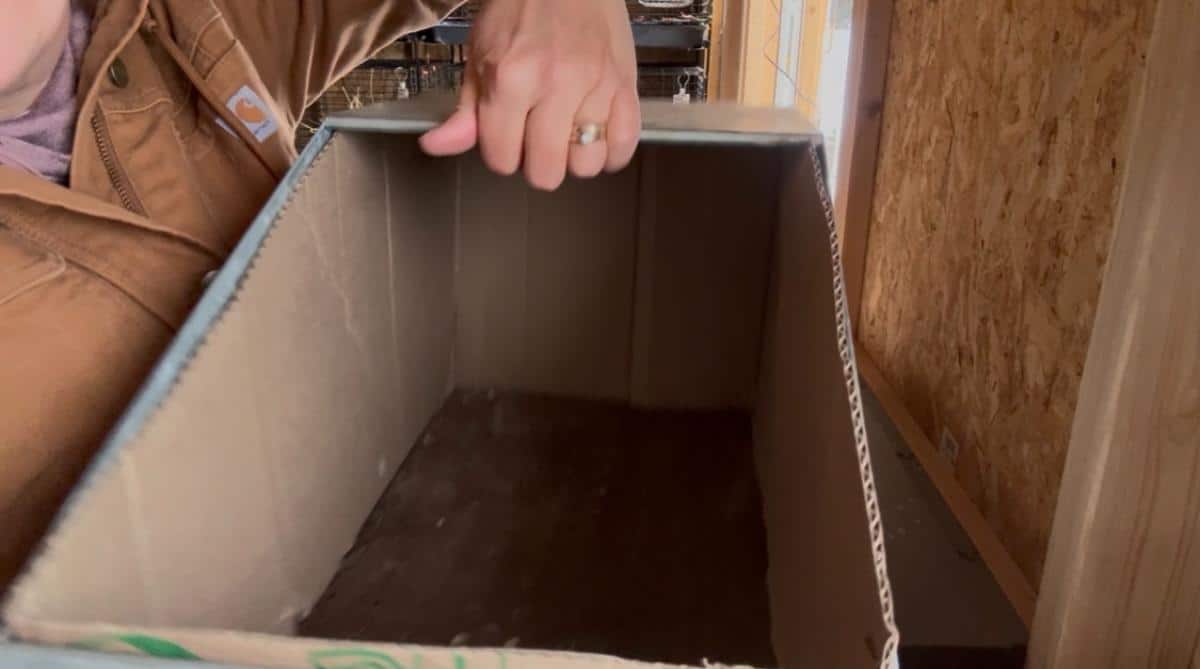 Nicely lined DIY meat rabbit nest box liner
