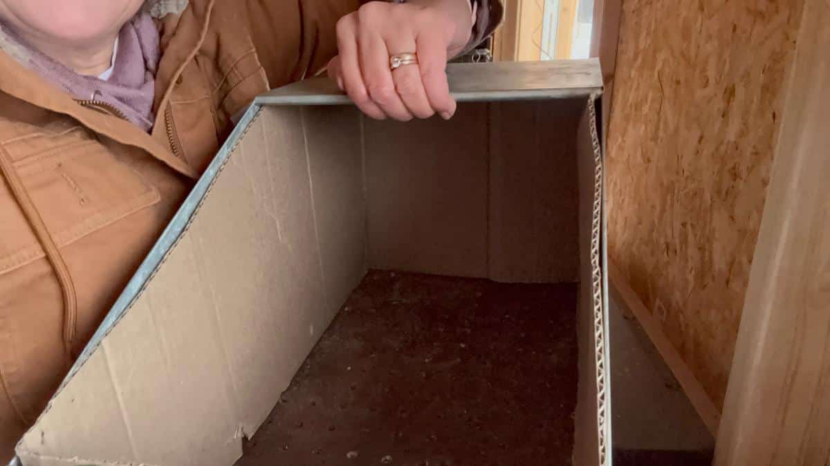 Meat rabbit nest box lined with cardboard for added warmth and protection