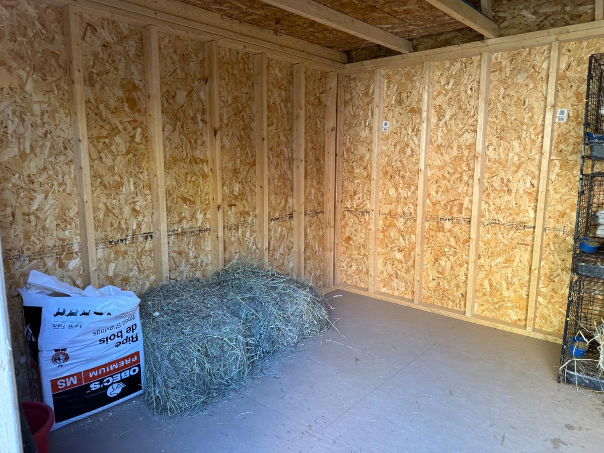Hay and shavings in a meat rabbit shed