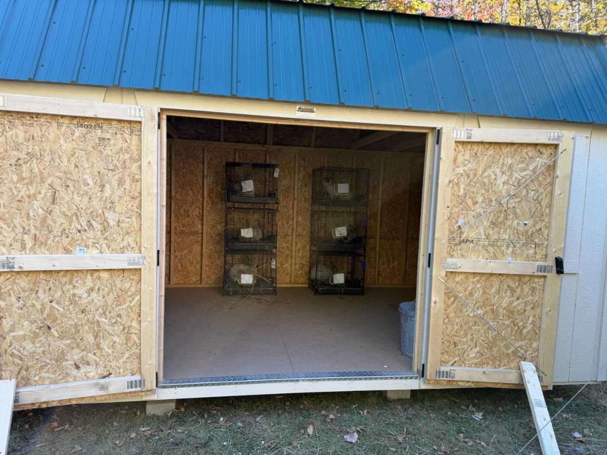 10 x 16 meat rabbit shed barn