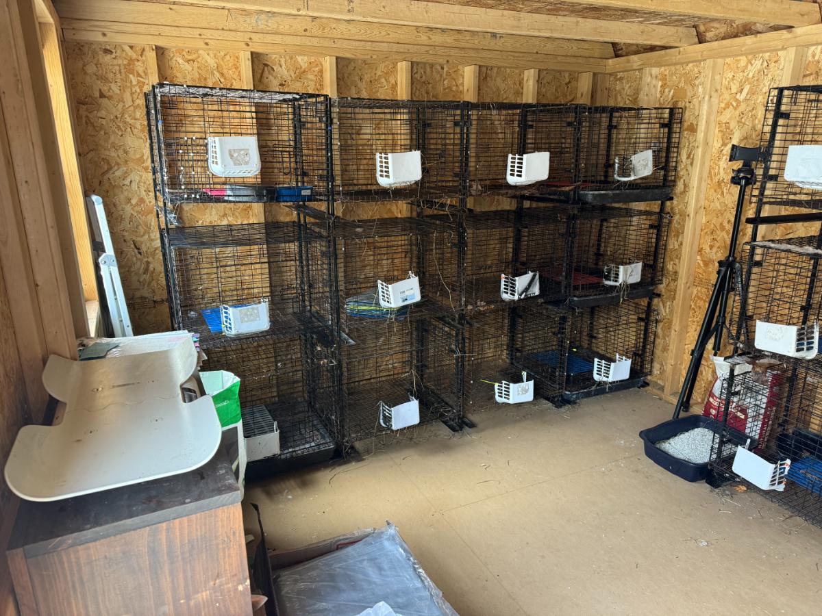 A wall of meat rabbit grow out cages