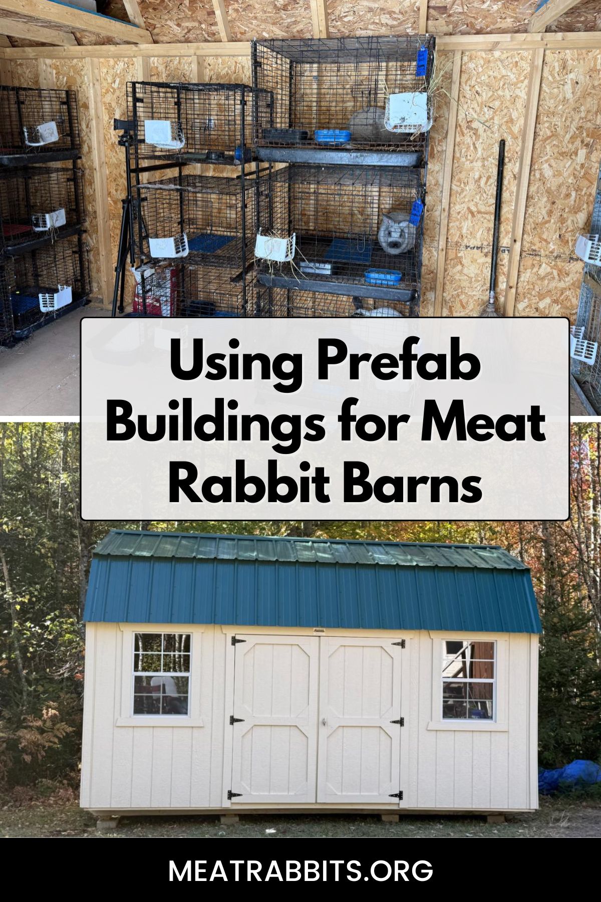 Using Prefab Buildings for Meat Rabbit Barns pinterest image