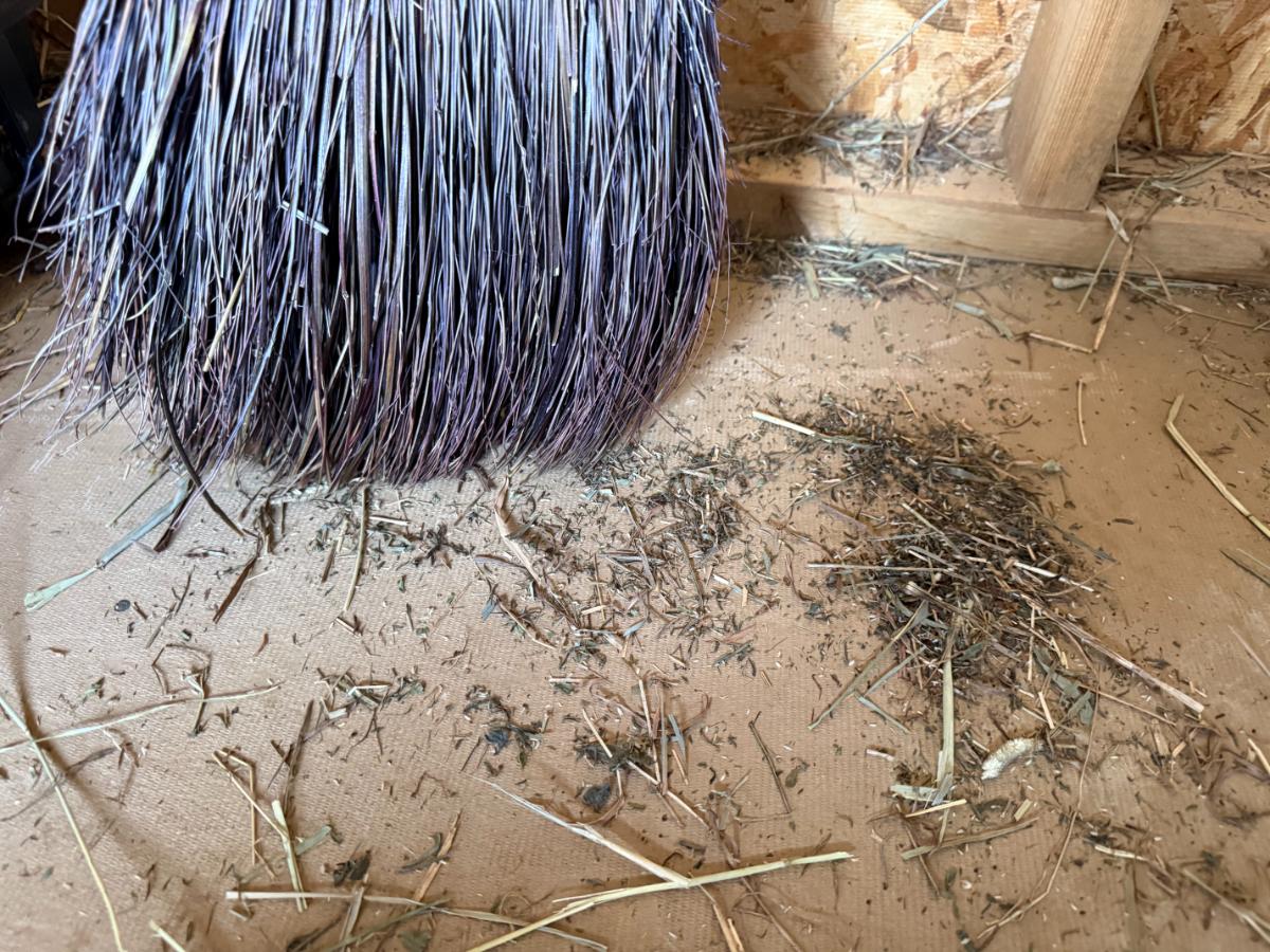 Sweeping up meat rabbit barn hay on the floor