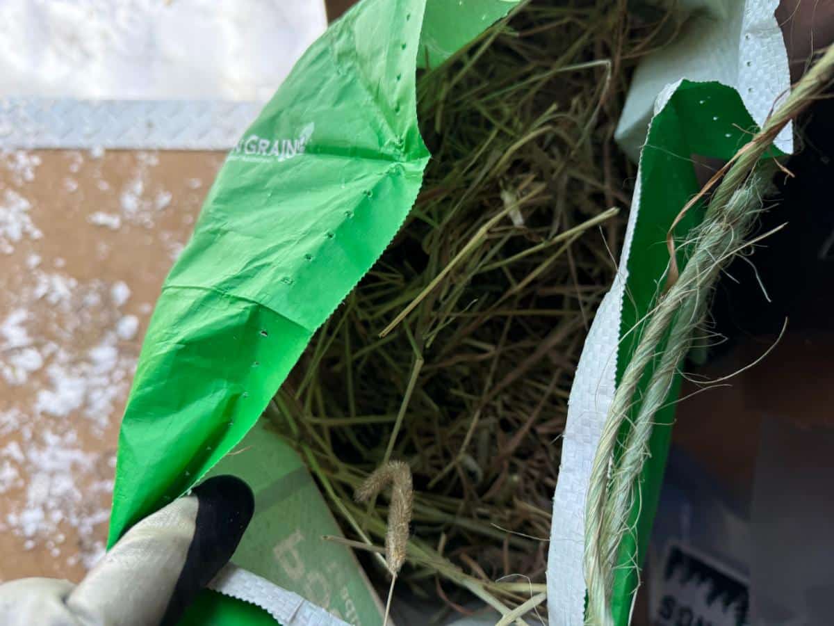 Bagged hay from a meat rabbit barn