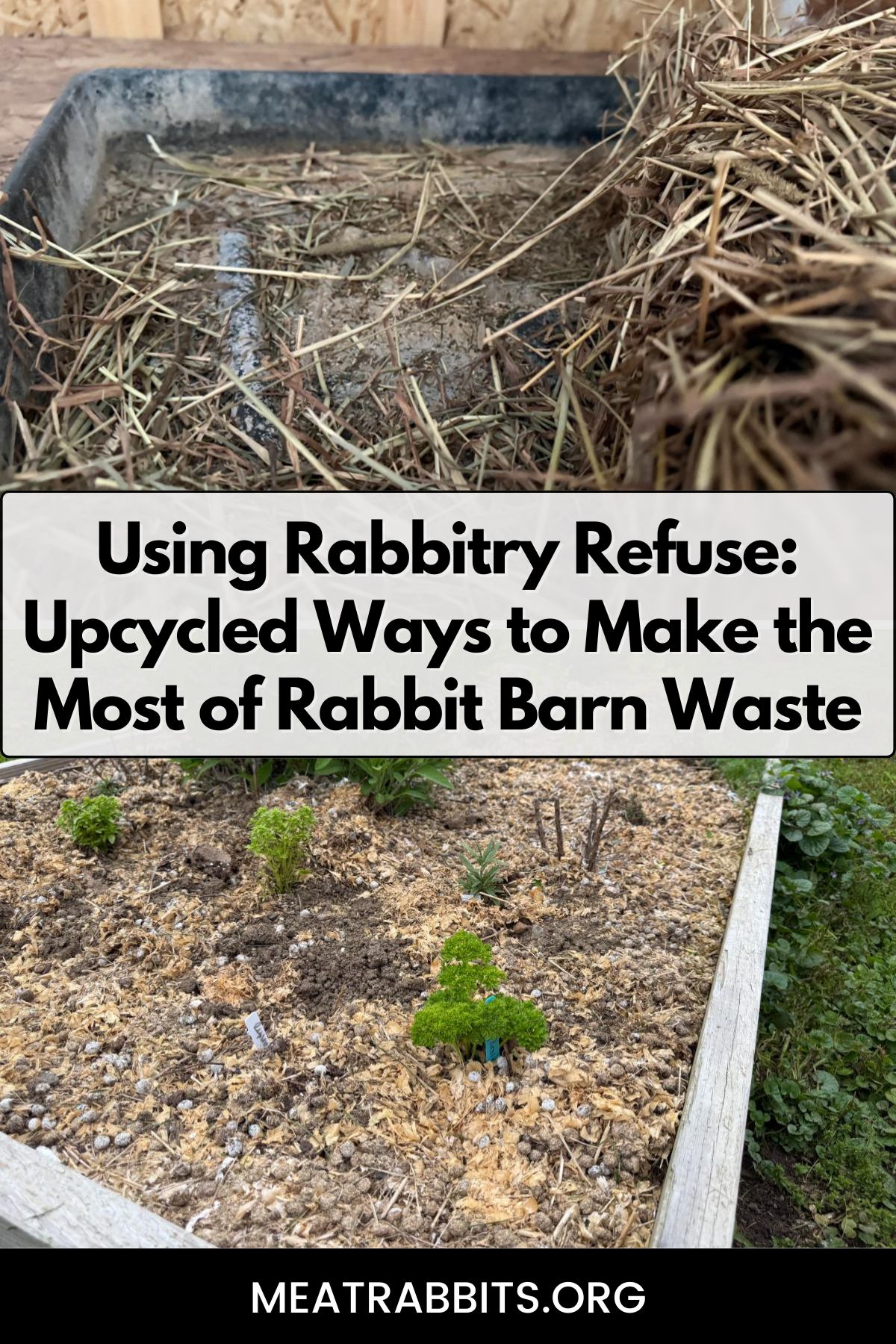 Using Rabbitry Refuse: Upcycled Ways to Make the Most of Rabbit Barn Waste pinterest image