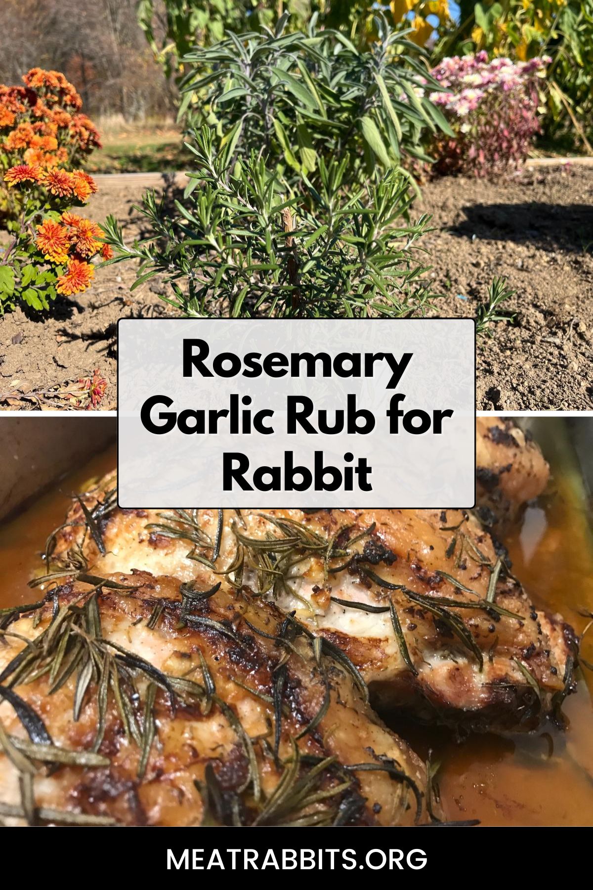 Rosemary Garlic Rub for Rabbit pinterest image