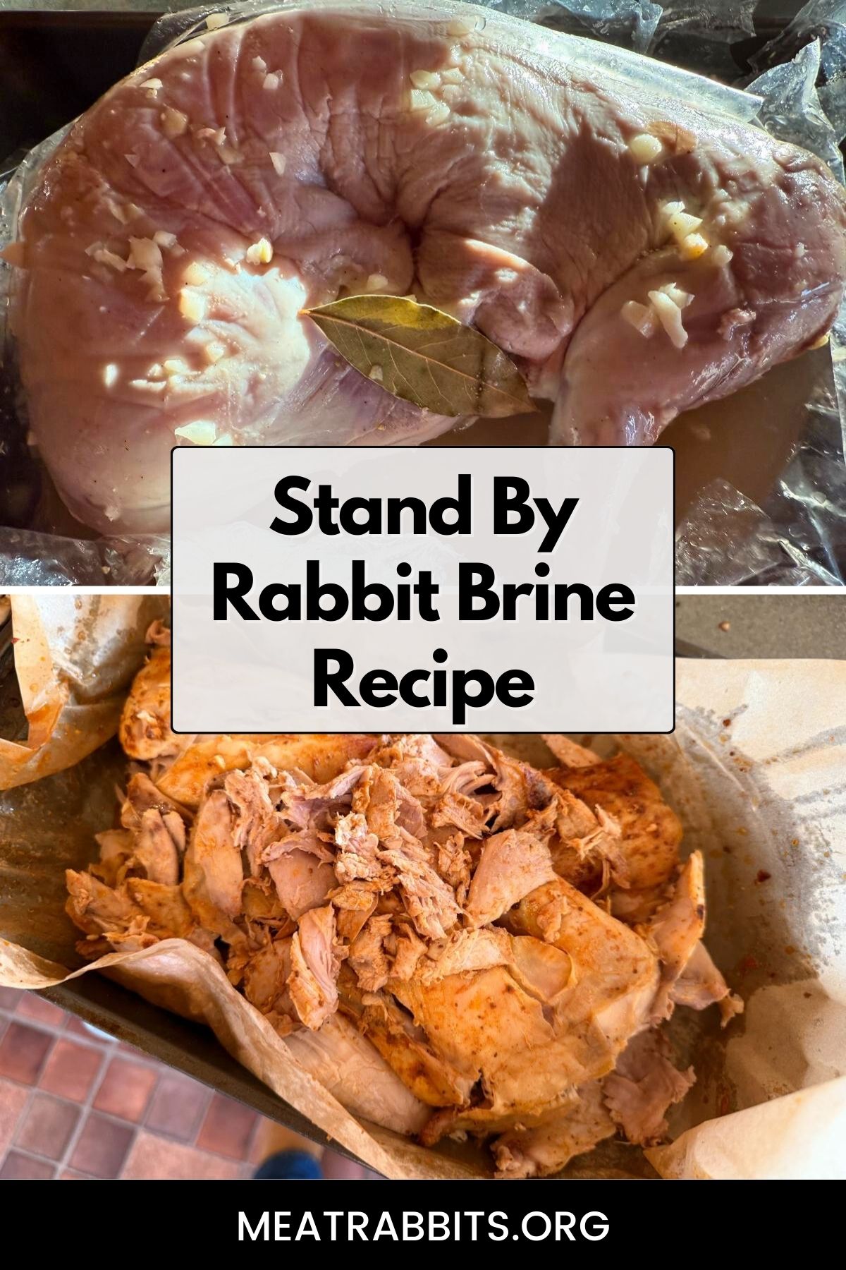 Stand By Rabbit Brine Recipe pinterest image