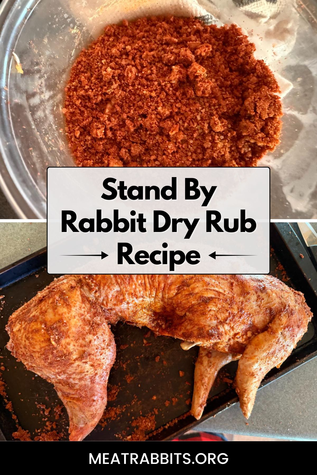 Stand By Rabbit Dry Rub Recipe pinterest image