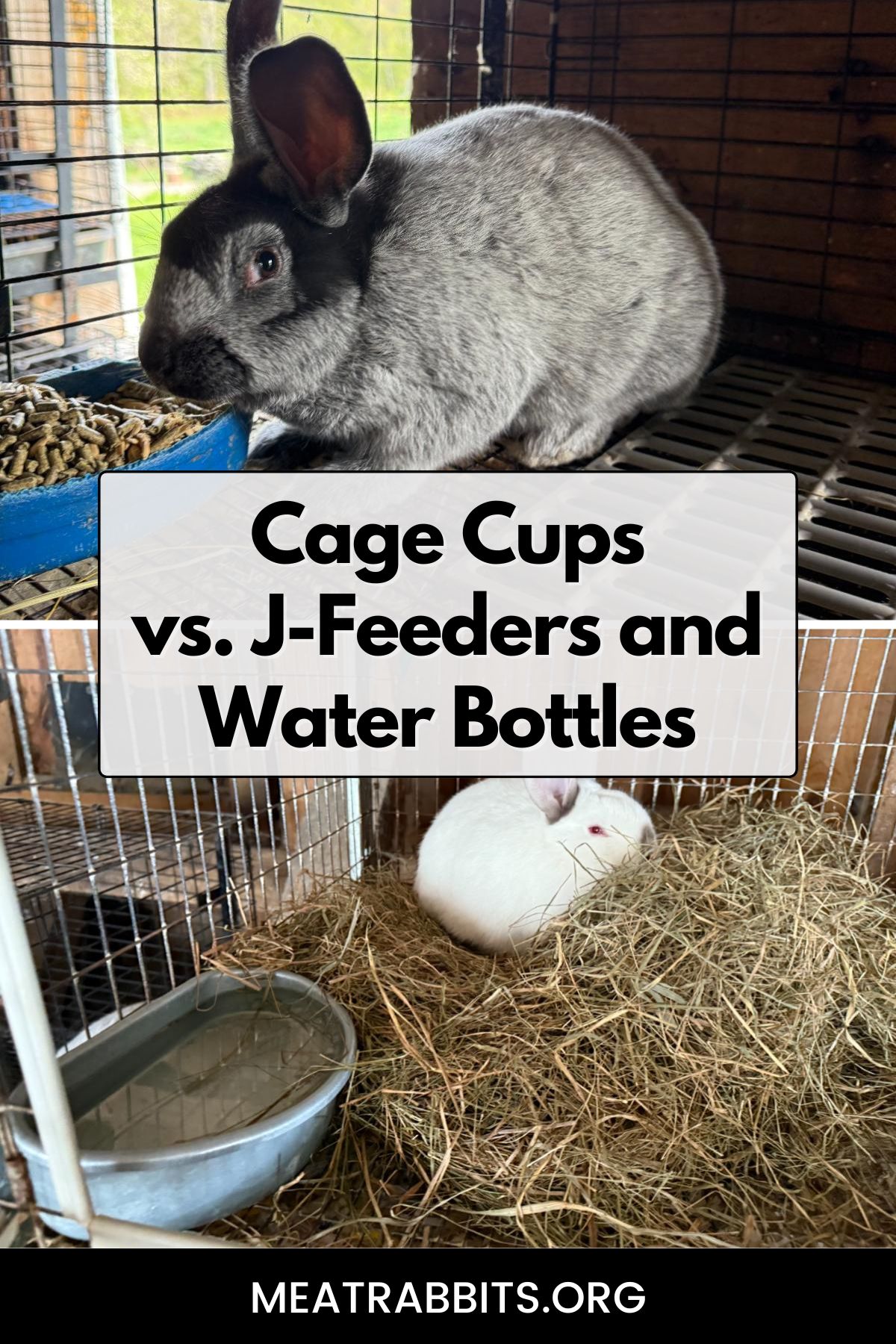 Cage Cups vs. J-Feeders and Water Bottles pinterest image