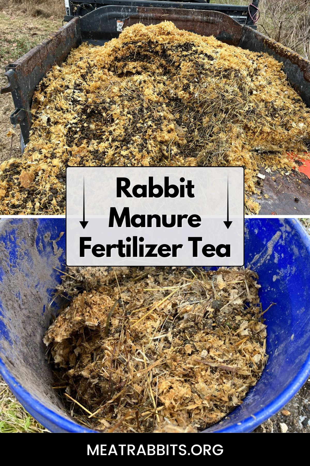 Rabbit Manure Fertilizer Tea pinterest image