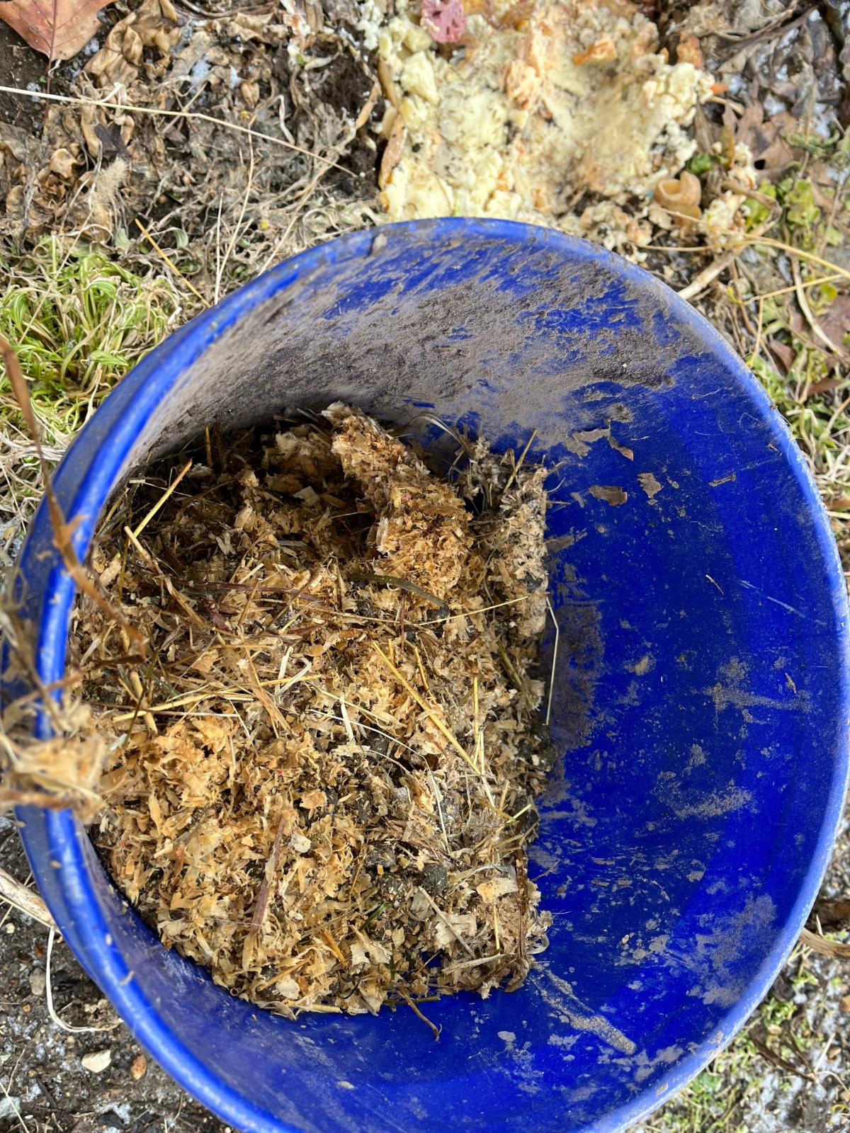 Making rabbit compost tea