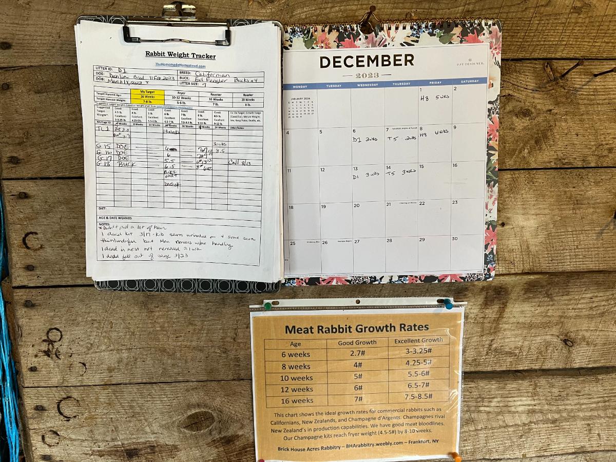 Weight tracker and clip boards for litter records on a barn wall