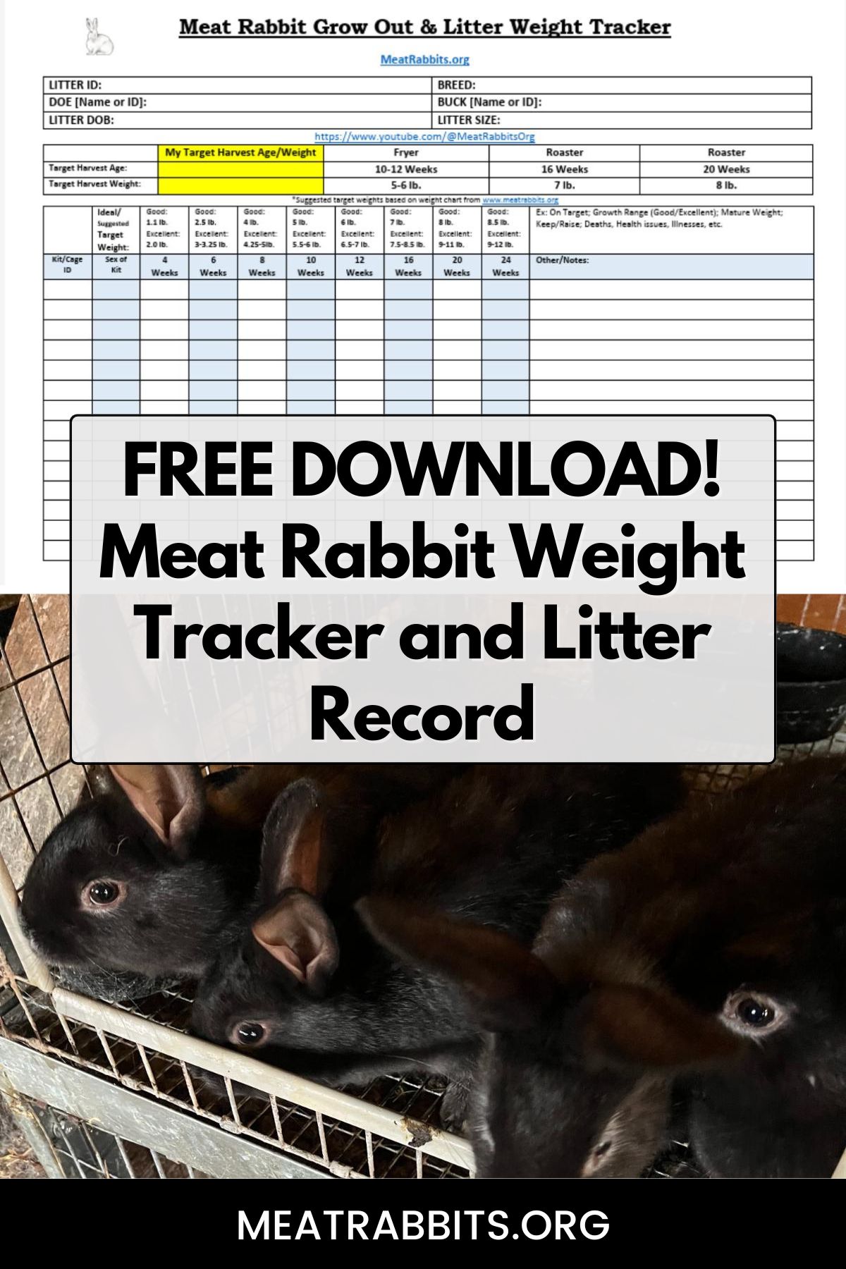 FREE DOWNLOAD! Meat Rabbit Weight Tracker and Litter Record pinterest image