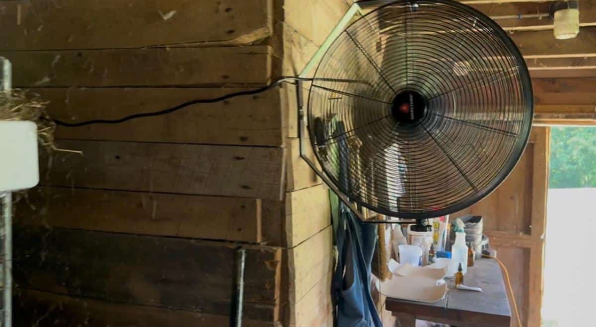 A fan in a meat rabbit barn in summer