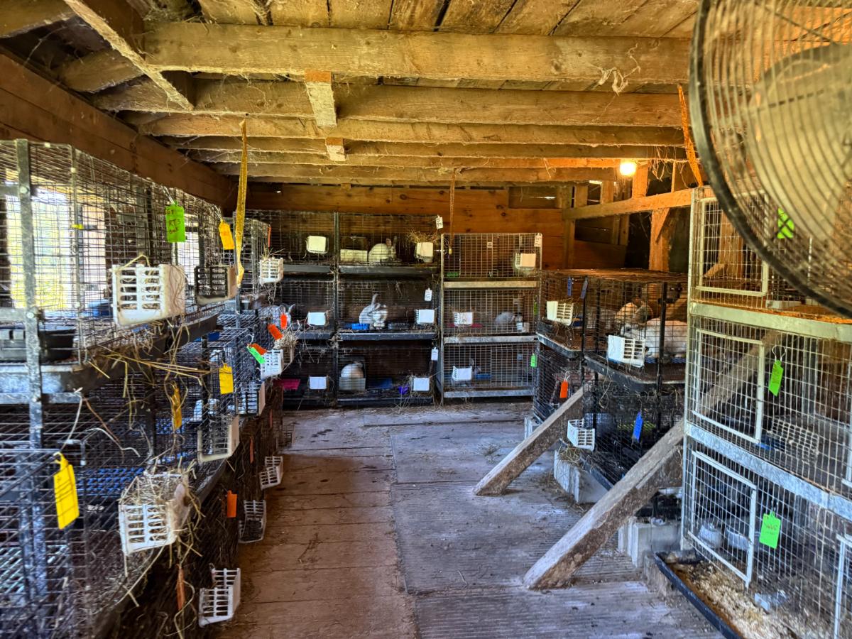 Rabbit barn with windows and door for airflow