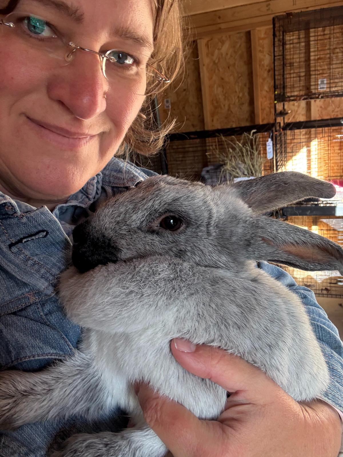 Cuddling a champagne d'argent meat rabbit
