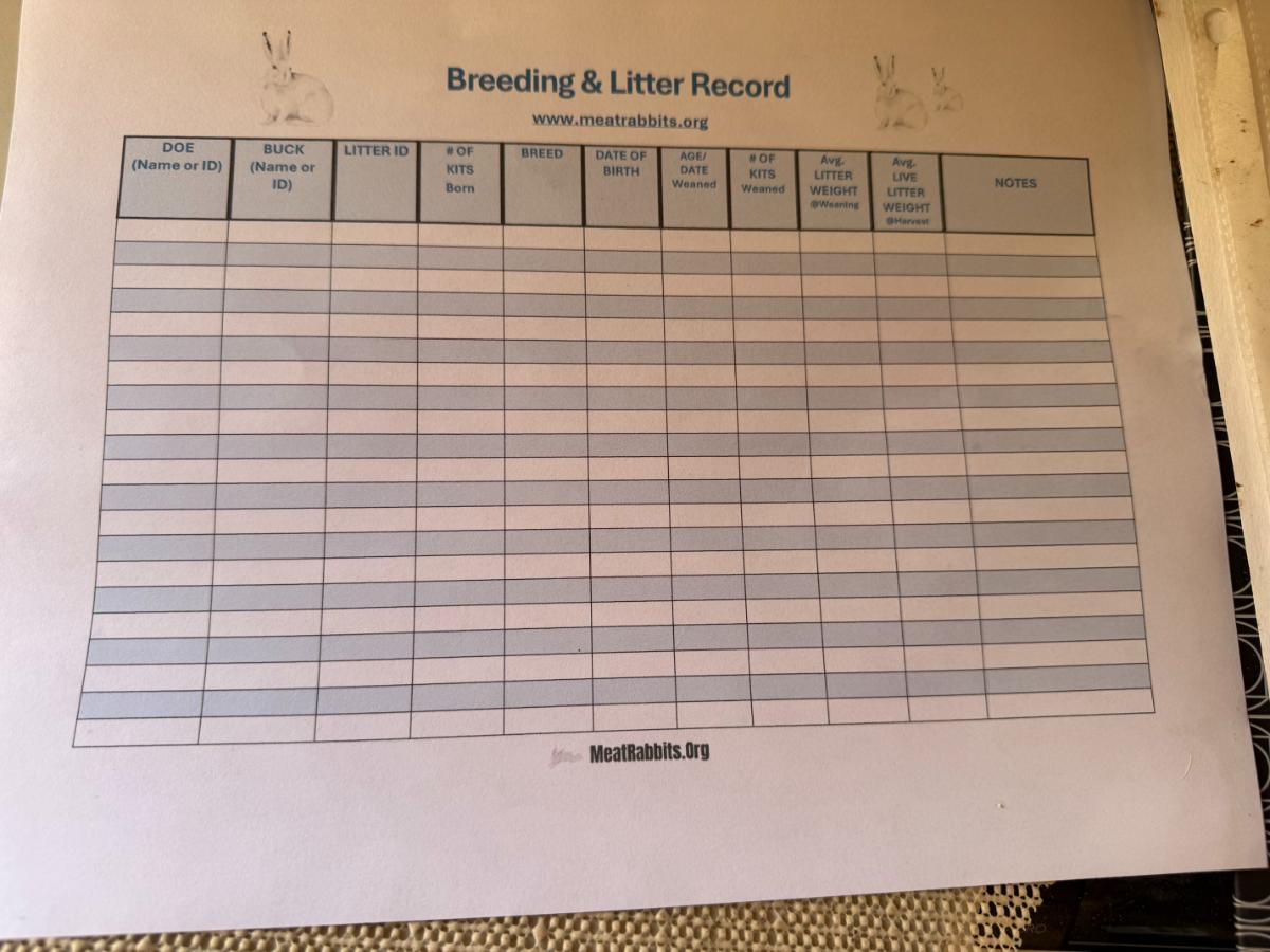 Free printable rabbit breeding record with notes section