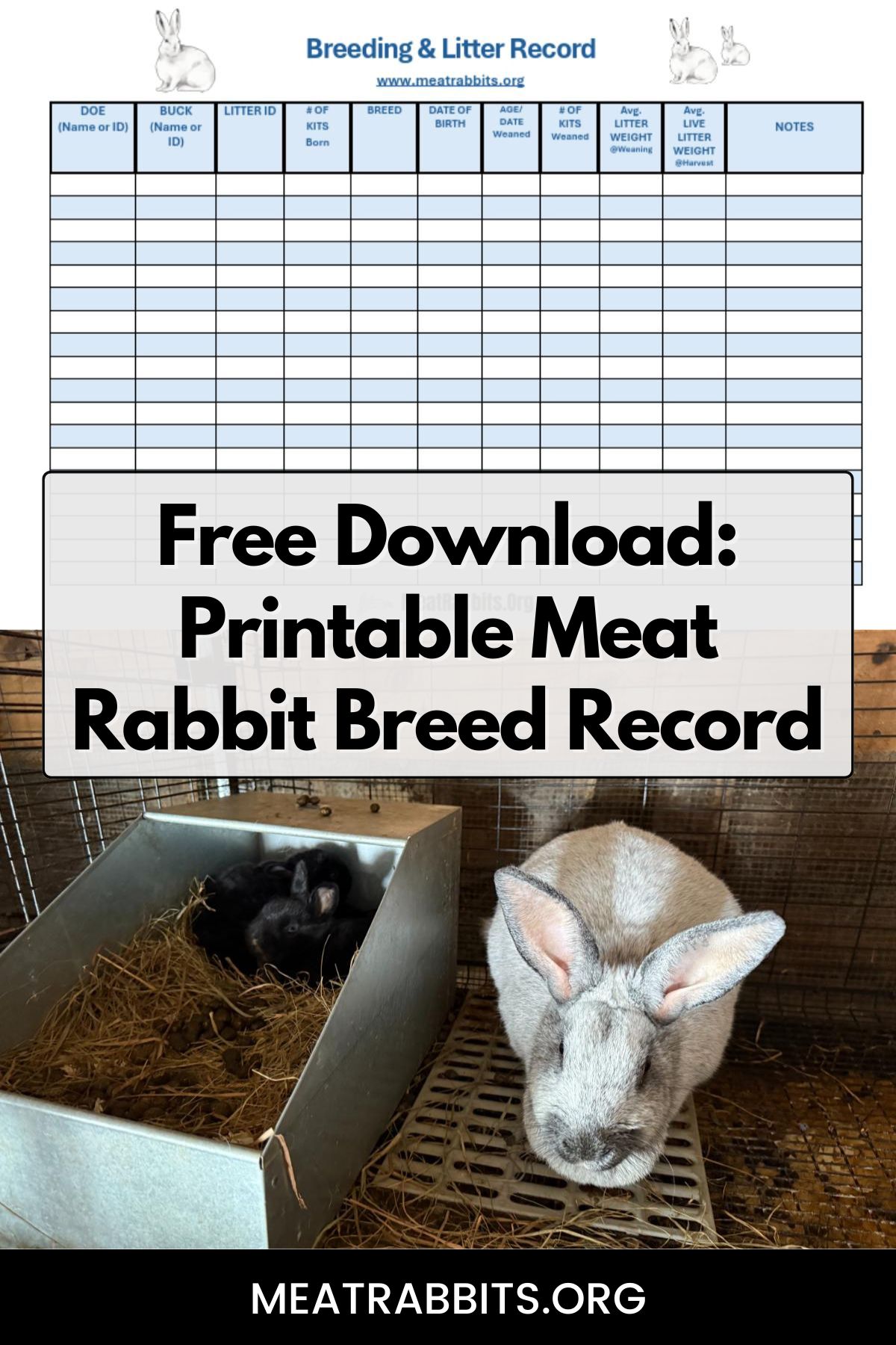 Free Download: Printable Meat Rabbit Breed Record pinterest image