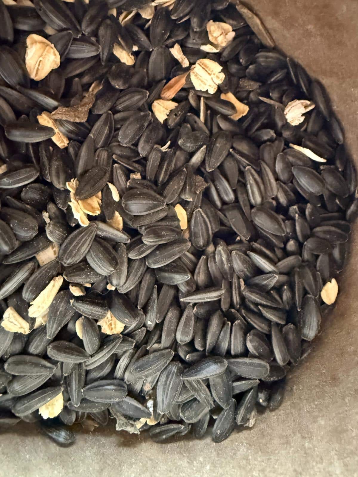 Black oil sunflower seeds for molting meat rabbits