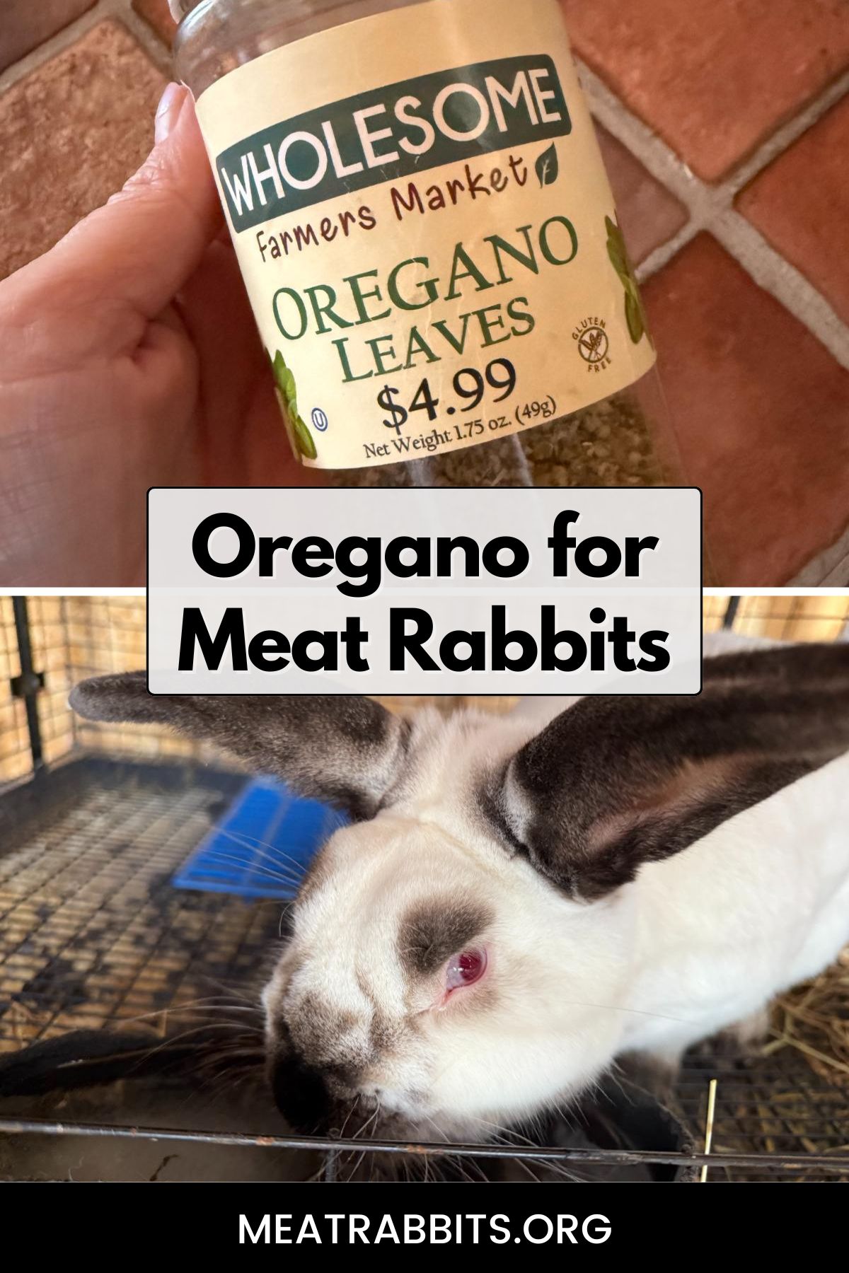Oregano for Meat Rabbits pinterest image