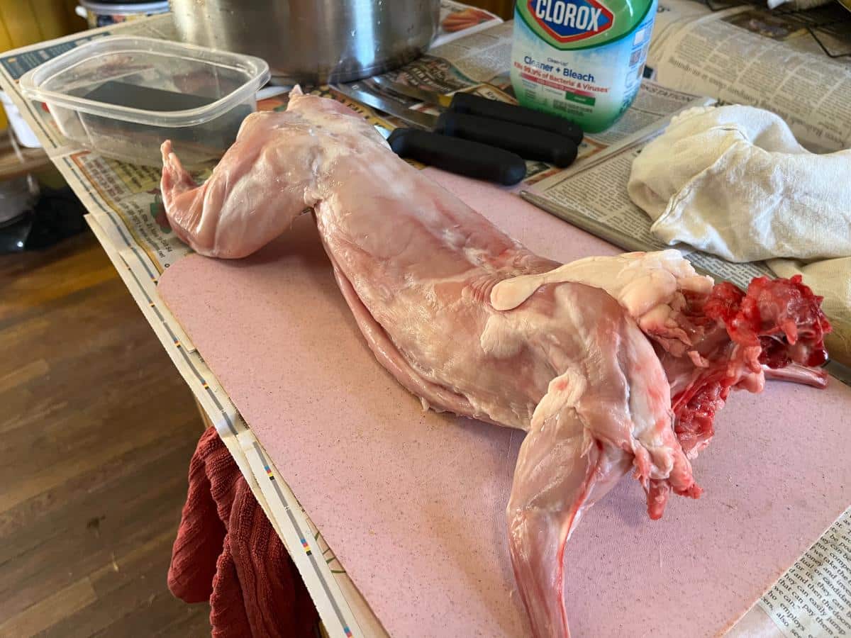 Raw rabbit on a preparation surface.