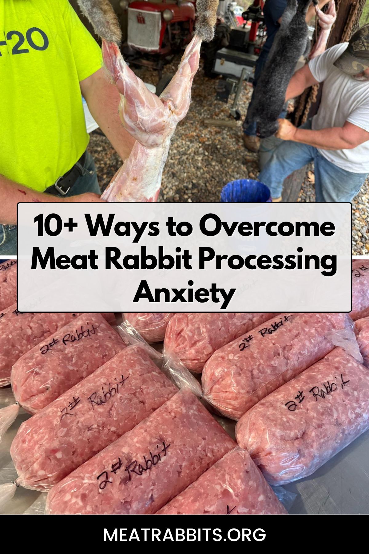 10+ Ways to Overcome Meat Rabbit Processing Anxiety pinterest image