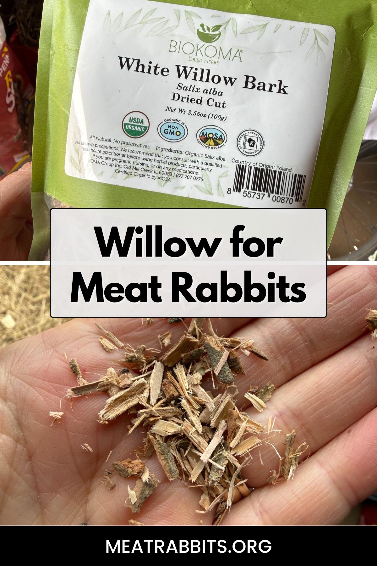 Willow for Meat Rabbits pinterest image