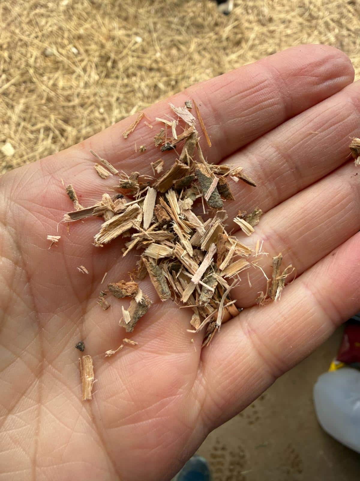 Dried willow bark for the meat rabbitry